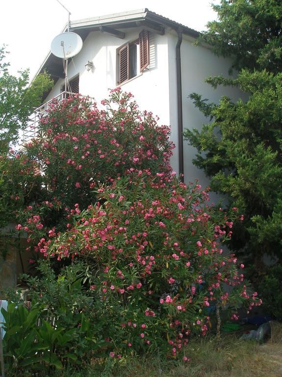 Apartment Lana Privlaka  Exterior photo