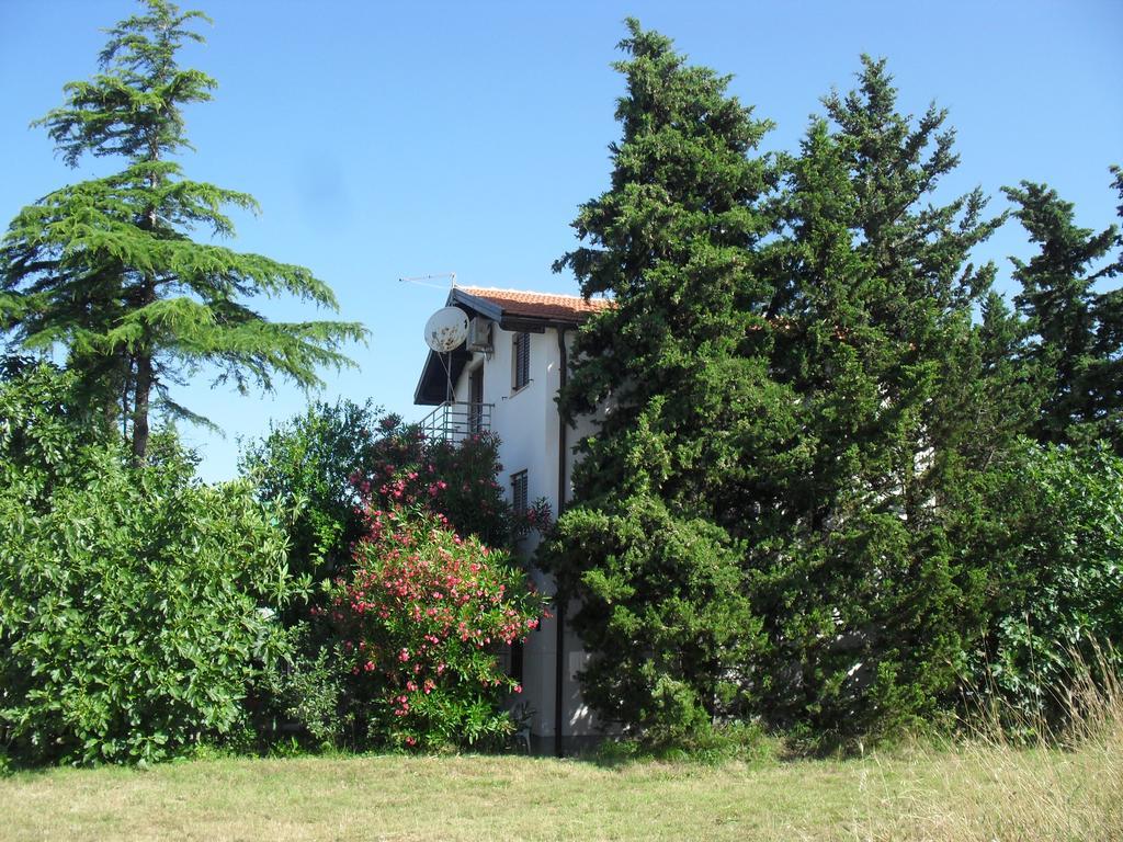 Apartment Lana Privlaka  Exterior photo